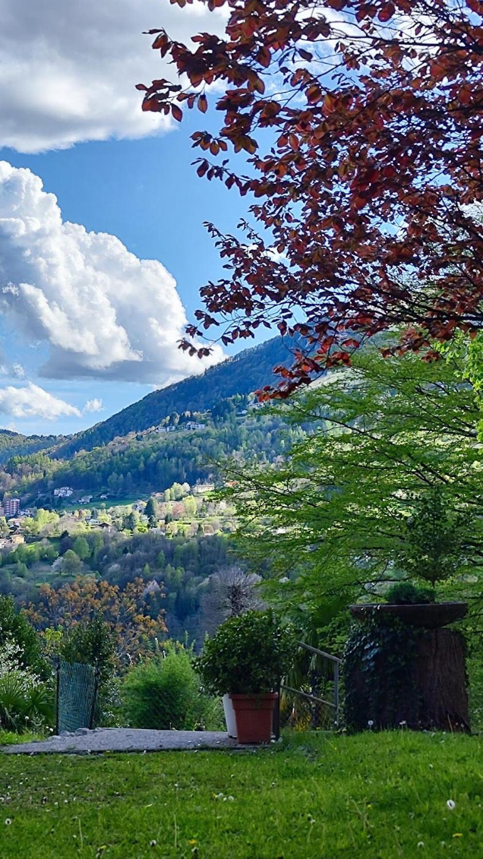 Villa Alma, Lake Como Bed&Breathe San Fedele Intelvi Εξωτερικό φωτογραφία